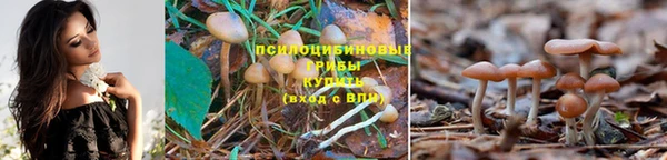 мескалин Костерёво