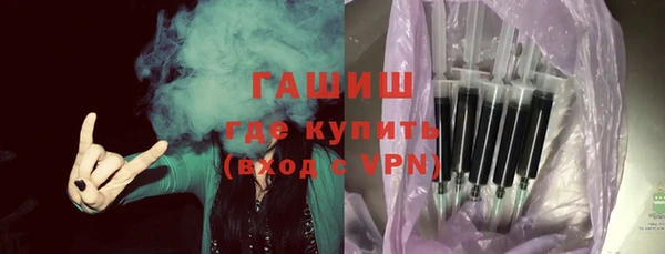 гашик Козловка
