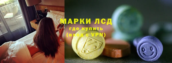 гашик Козловка