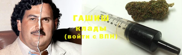 гашик Козловка