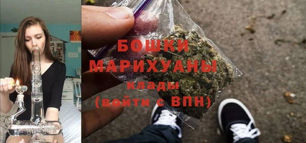 твердый Коряжма