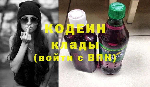 гашик Козловка